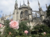 Notre Dame